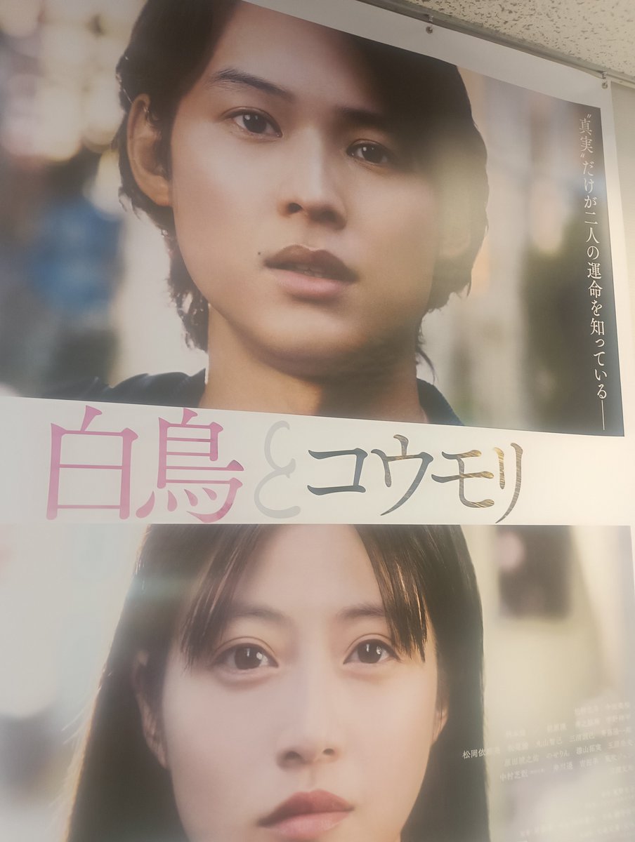 IXUe7UTyda91593's tweet photo. #映画白鳥とコウモリ

見に来ました。 https://t.co/eMVy3VOk5L