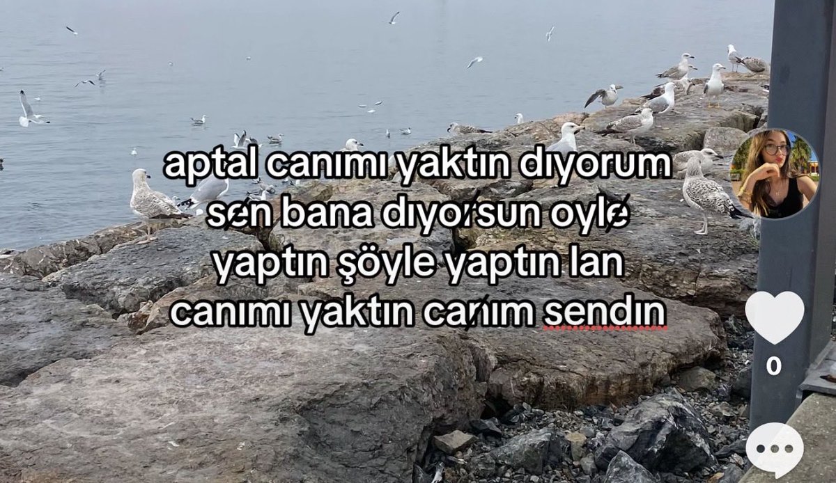 sunotess's tweet photo. ben sımdı bunu gorur dıye hıc bıryere atamıyorum buraya atıyım barı https://t.co/Mlb691Ti3a