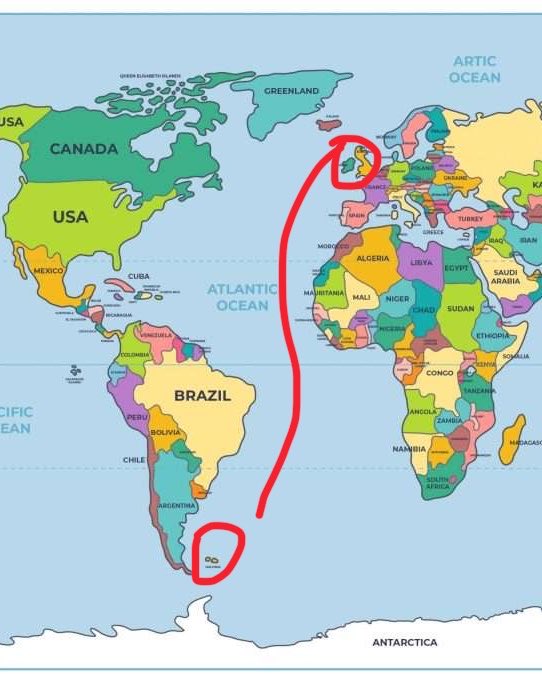 safictem's tweet photo. “Europeans are natives” https://t.co/vbJtMydwq3