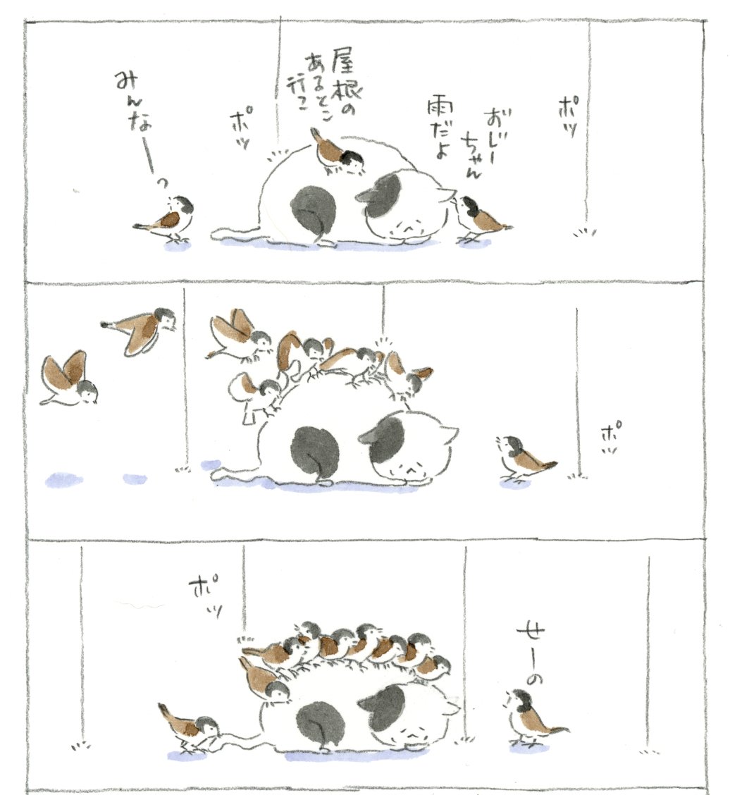nyanta_mikan's tweet photo. https://t.co/YsVCc5YZQD