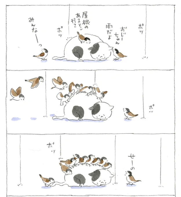 ねこまき倉庫 on X / X