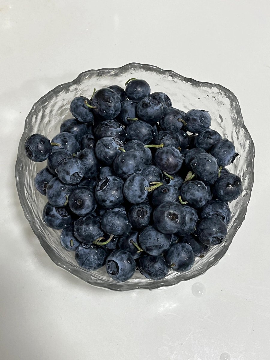 SouravDo's tweet photo. Blueberries make all my worries disappear! https://t.co/N2zcBt4e96