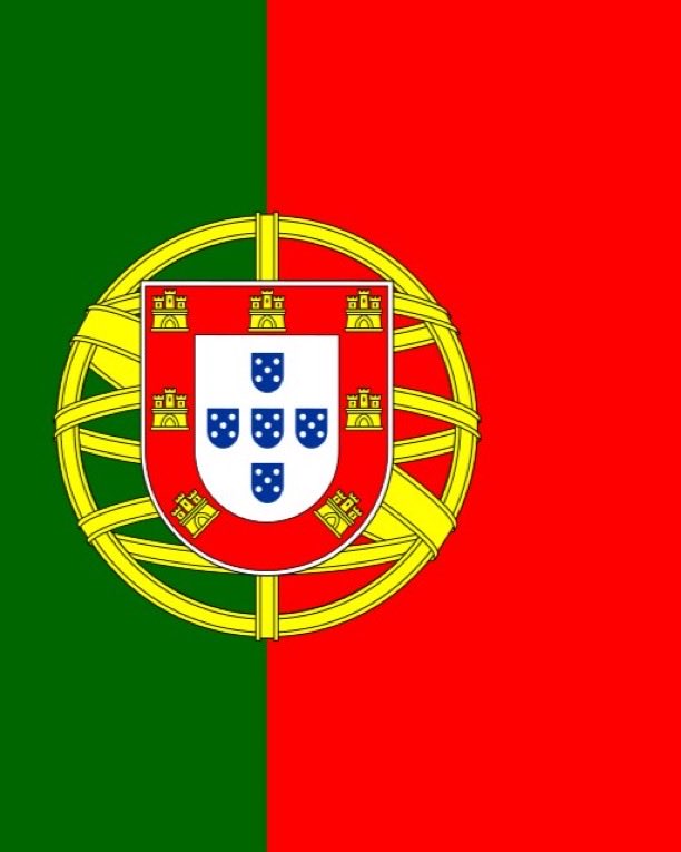 Indie5051's tweet photo. Nueva ley en Portugal exige que los animales también sean rescatados y llevados a refugios en casos de catástrofes. https://t.co/cwHYct3riN