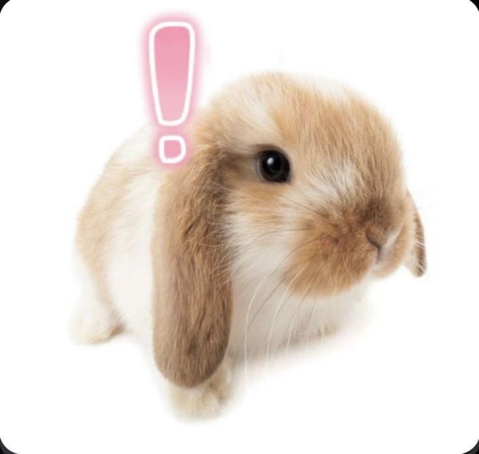 dolllilac's tweet photo. me  in  my  original  form  ♡ 🐇 ♡ https://t.co/yjZh89ZcPy