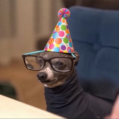 researcherdaisy's tweet photo. new profile pic for my bday month https://t.co/UXCZm61ugY