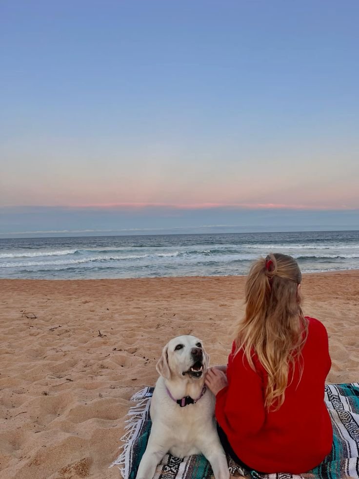 IndardevKumar2's tweet photo. My dogs make every moment special 🐕❤️🐾 Looking back feels so good! More content waiting for you 👀

https://t.co/UCUy18WOLO https://t.co/HNarqwi6ar