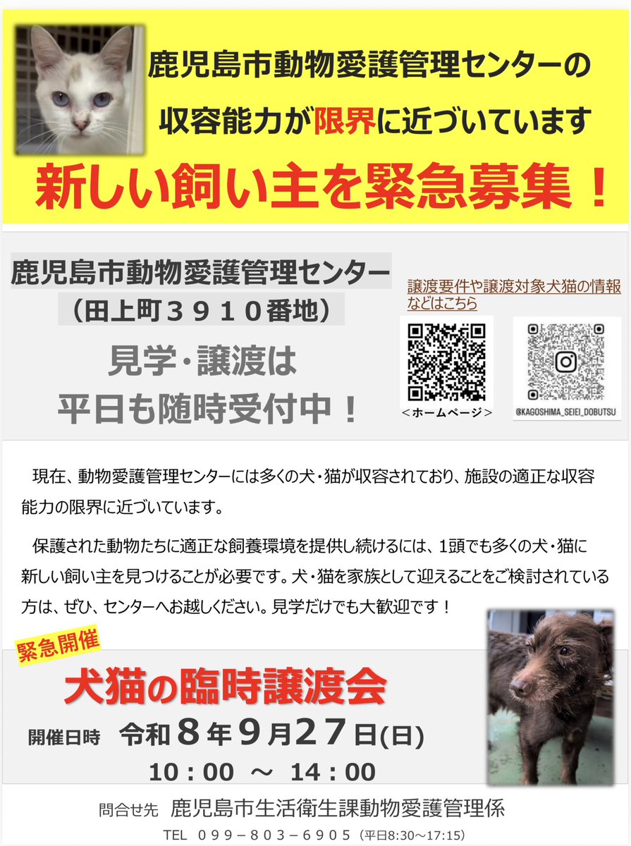 kagoshimacityPR's tweet photo. 【犬猫の臨時譲渡会】
鹿児島市動物愛護管理センターの収容能力が限界に近付いているため、新しい飼い主を緊急募集します。
1頭でも多くの犬猫が新しい家族の元で暮らせるよう、皆様のご参加をお願いします。
日時：9月27日(日)10時～14時
場所：動物愛護管理センター（田上町3910番地） https://t.co/ONMZheakDl