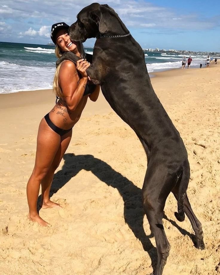 IndardevKumar2's tweet photo. 🐶🐾 Throwback to the moments that make me smile the most! ❤️ Want to see more? 👀 Subscribe now! 🔥
https://t.co/UCUy18WOLO https://t.co/uYE1eLHbTR