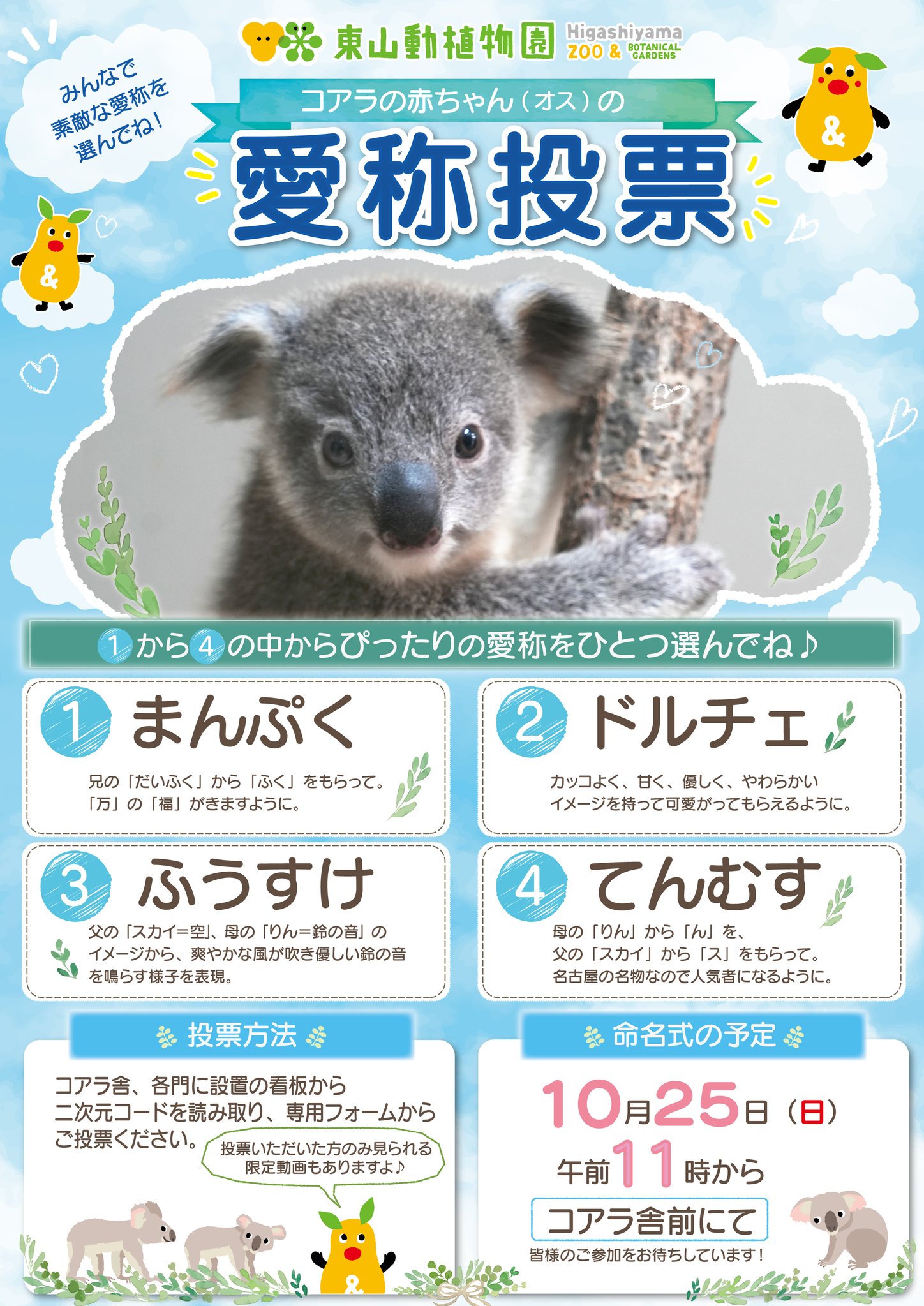 コアラさん専用ページ 名古屋市東山動植物園 on X: 
