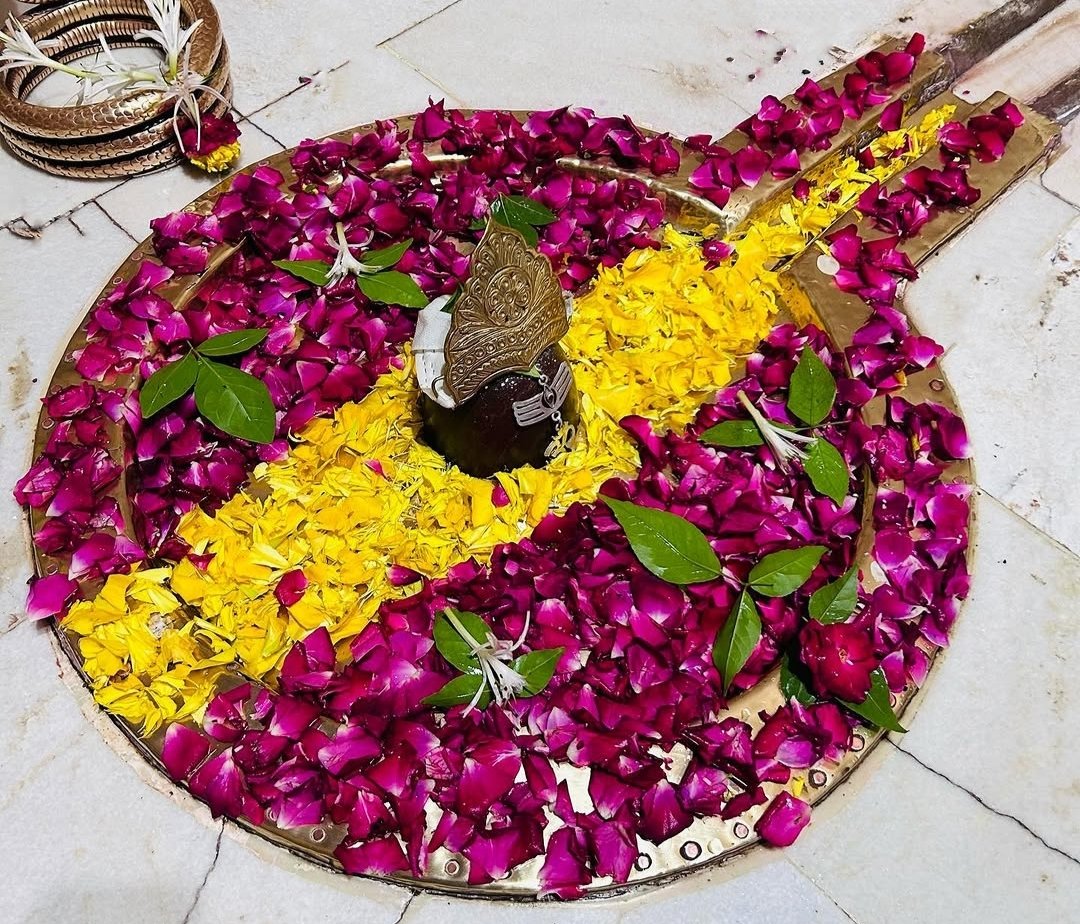 Sonal45_'s tweet photo. अगर मिट्टी में बैठना पसंद नहीं तो अस्तित्व से बहुत दूर हो ✍🏻🍁🕉️ https://t.co/MToLbR6hot