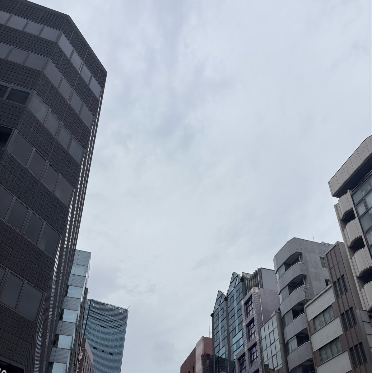 pita_masui's tweet photo. おはようございます。

曇天の東京日本橋。
これから天候は崩れるようですので、皆様お気をつけて良い一日をお過ごしください⭐︎

#企業公式が毎朝地元の天気を言い合う
#福祉用具 https://t.co/BTofumWspt