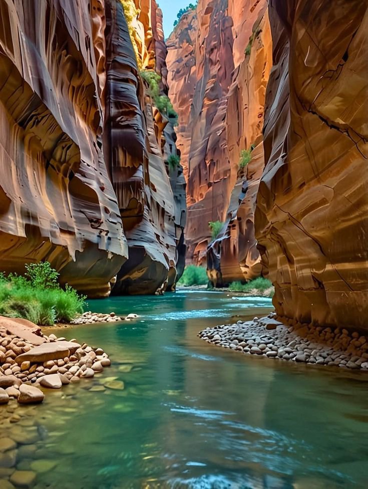 ab_cd_1235's tweet photo. Narrows of Zion National Park 🇺🇲 https://t.co/ZA7FcwzoZY