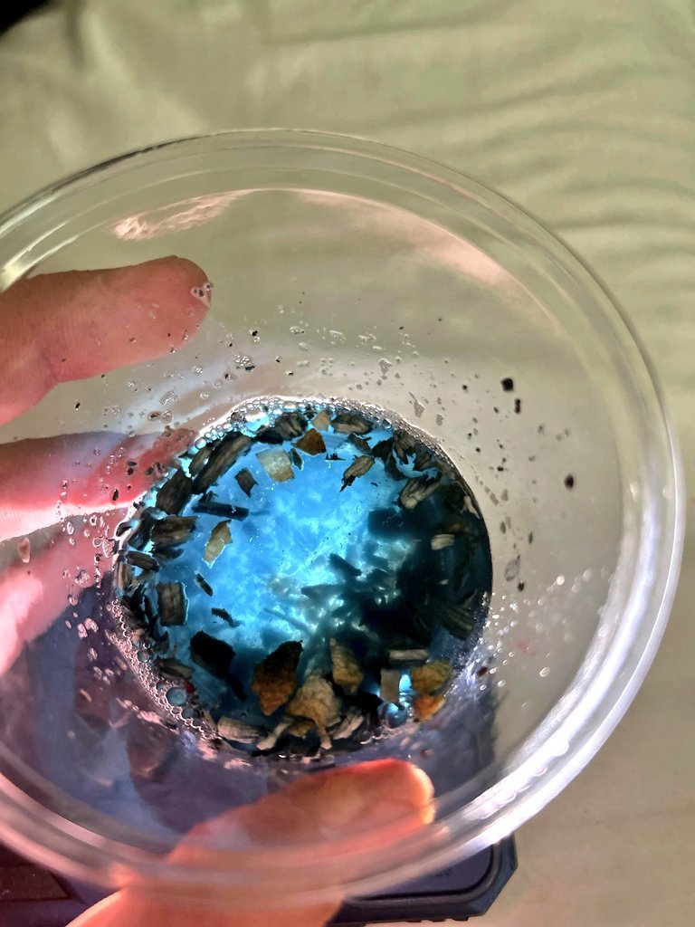 michaeljasonca's tweet photo. Psilocybin "blue juice"" https://t.co/FjDzSRVF1n