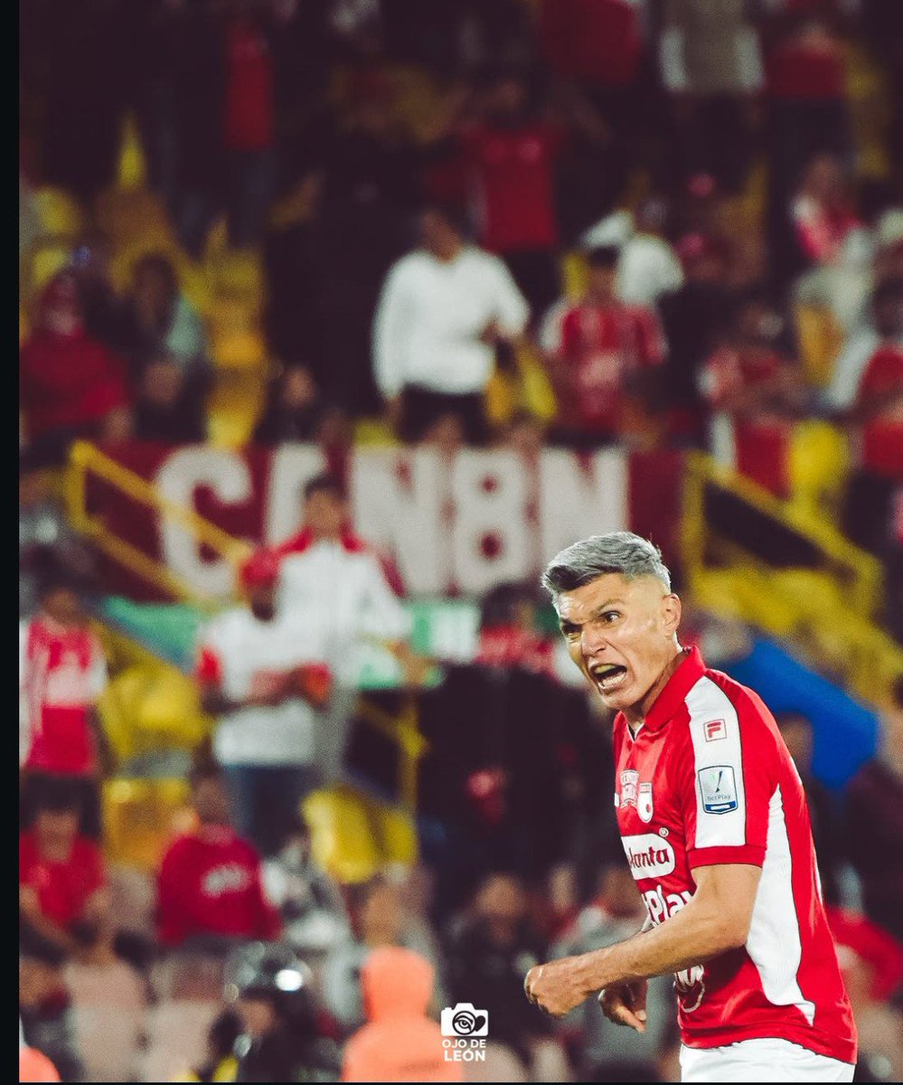 LaPieldeSantaFe's tweet photo. G A R R A  Y  C O R A Z Ó N !

📷 Ojo de León https://t.co/j3075fRVYr