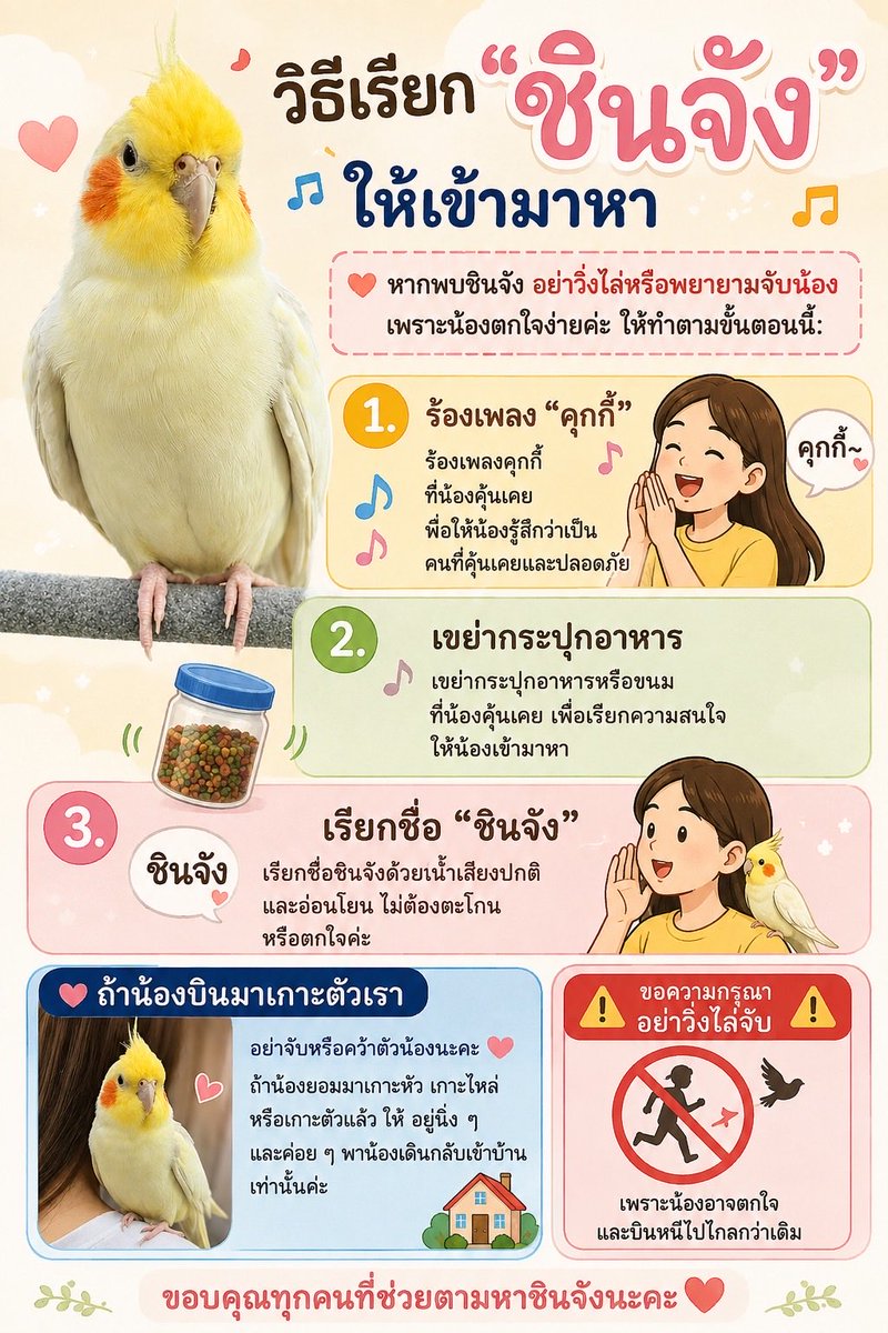 rpc_tofs's tweet photo. https://t.co/tD5ugUT1bE