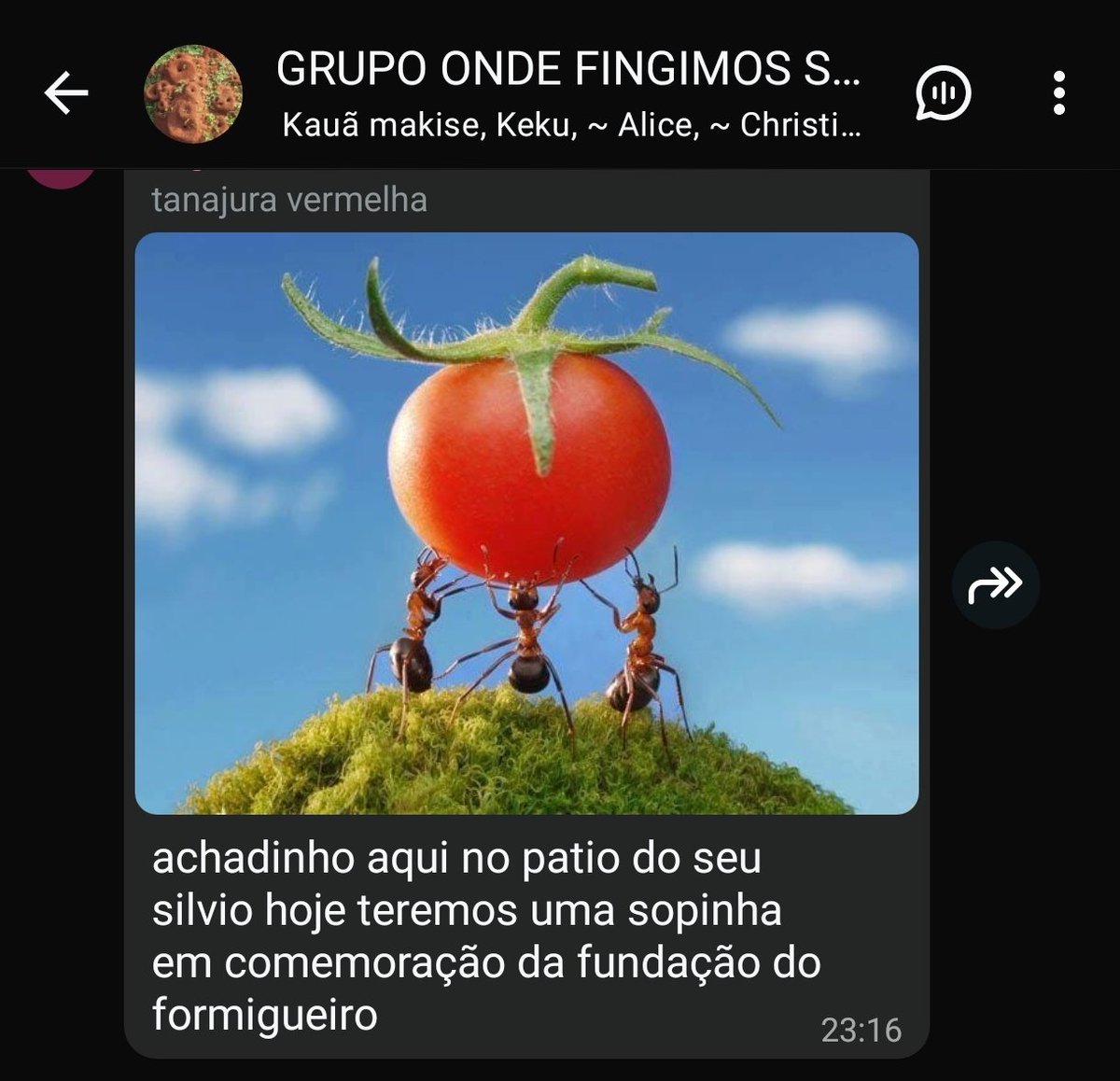 bipoloba's tweet photo. vsf acabei de entrar num grupo onde as pessoas fingem ser formigas https://t.co/H7FQJEuPJs