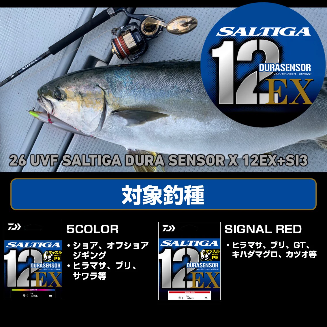 DAIWA SW Fishing Shore on X: 