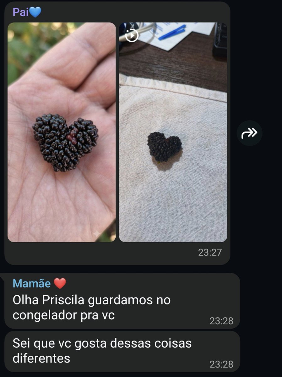 studies_lala's tweet photo. meus pais https://t.co/zcSlgCIBVr
