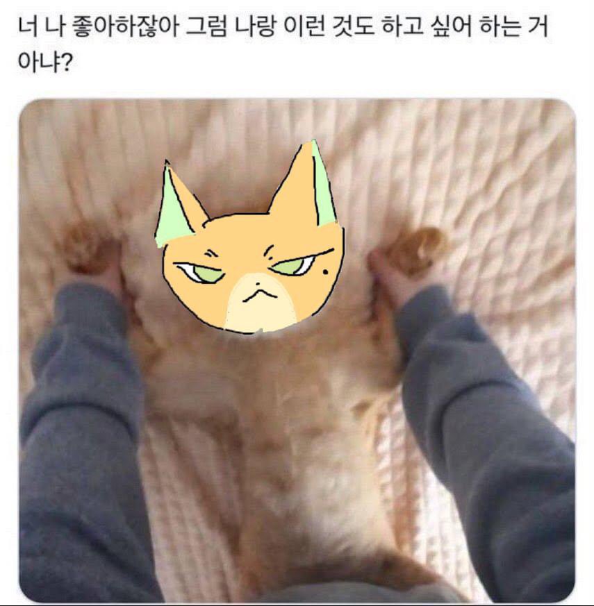 ogierkanojo's tweet photo. https://t.co/Cv4RyOHT8e
