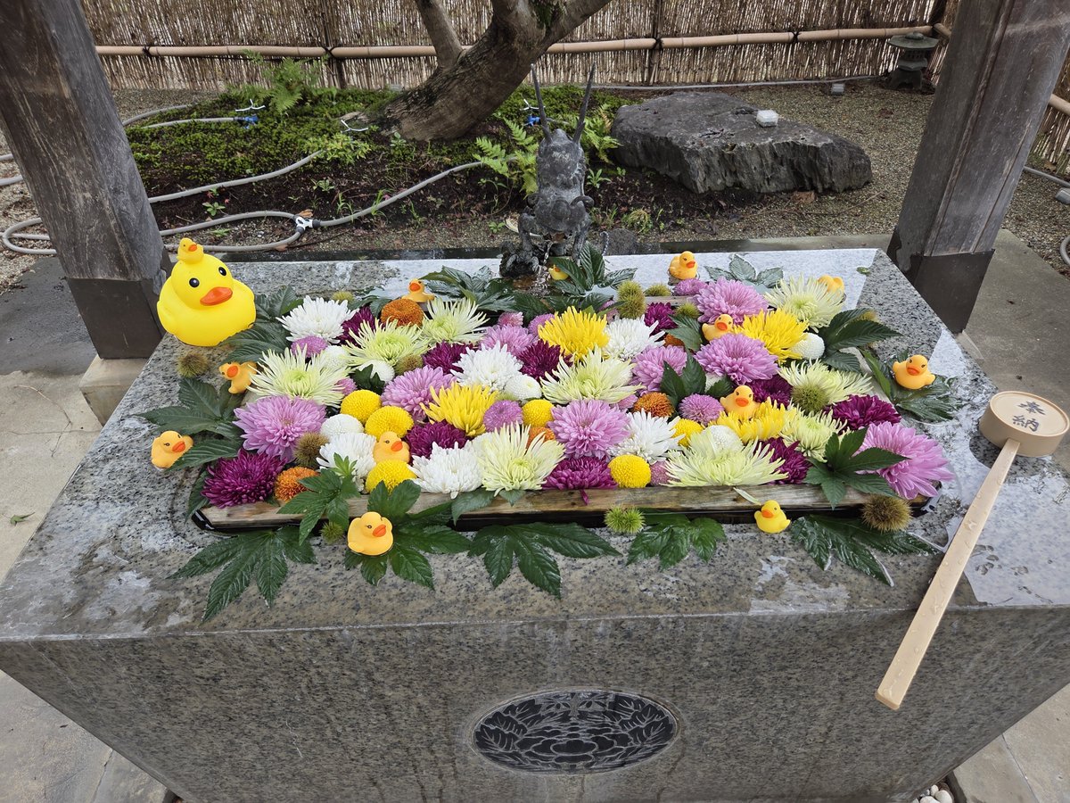 GOSHUIN1996's tweet photo. 長良神社にいってきました! https://t.co/VfX0gNUebO