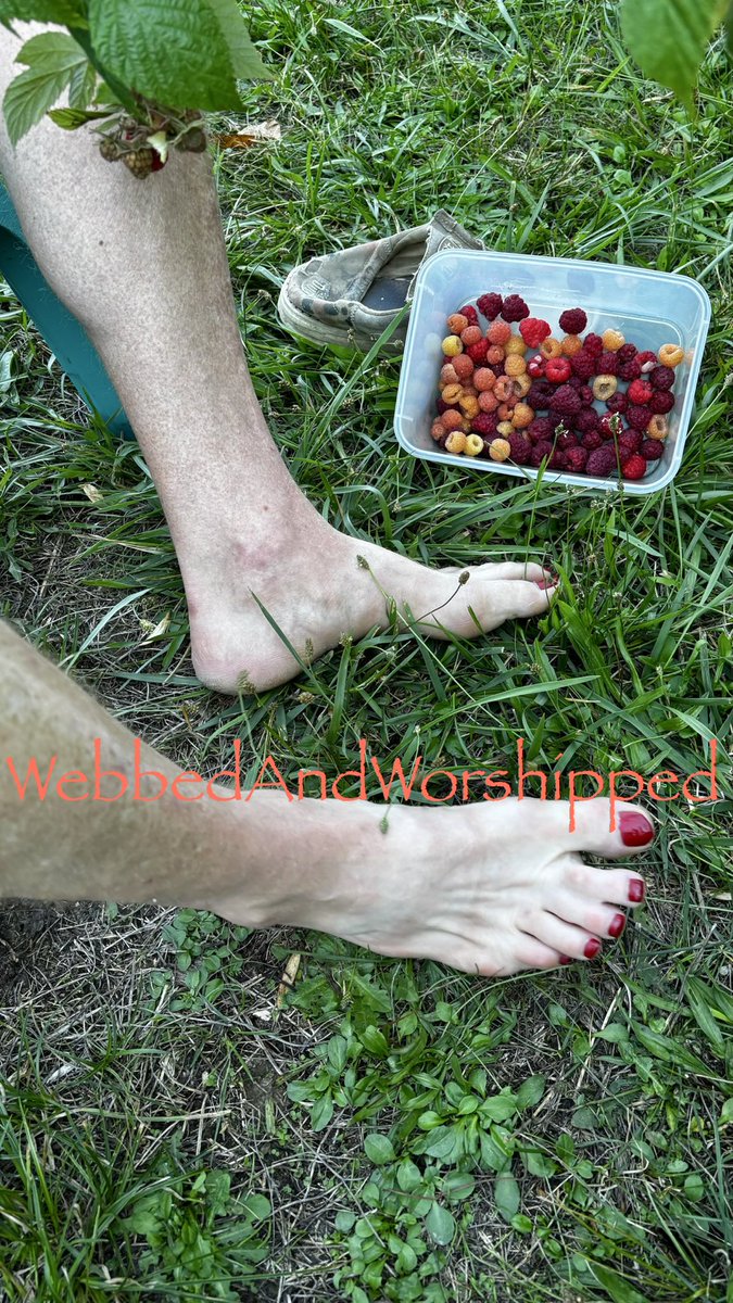 WebbedWorshiped's tweet photo. The Webbies Made It Into the Raspberry Patch!  Apparently raspberry picking needed a little Webbie supervision. #footfetısh #webbedtoes #FootCare #FootScrub #Exfoliation #SelfCare #Pampering #pedicure https://t.co/ial9KyGUNl