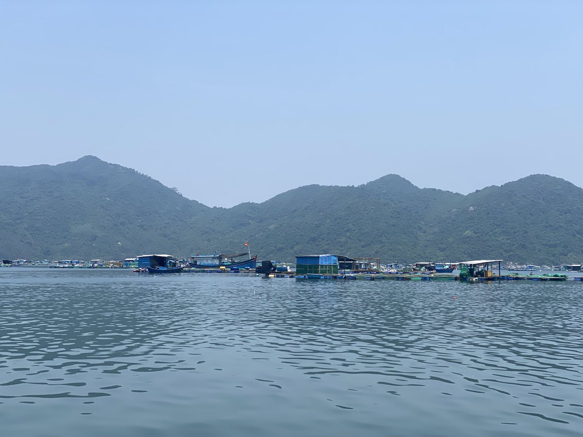 Hoamaichi's tweet photo. Cam Ranh- Khánh Hoà- Việt Nam https://t.co/JwHfVSK6Lw