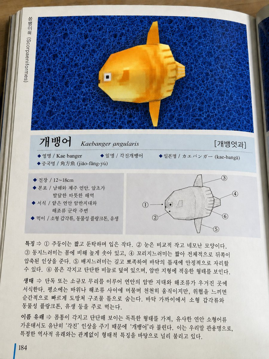 isrhte's tweet photo. 개뱅어입니다 https://t.co/3su10T2UwE