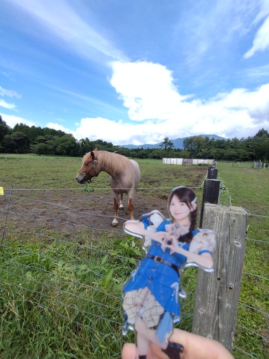 buleaki_601from's tweet photo. 毎日うま！ https://t.co/juuRVBoCBK
