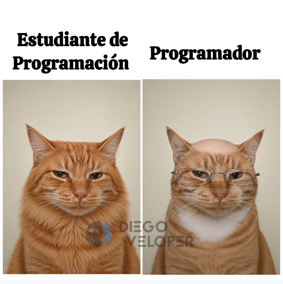 memeveloper's tweet photo. https://t.co/GcQL6k6AhO