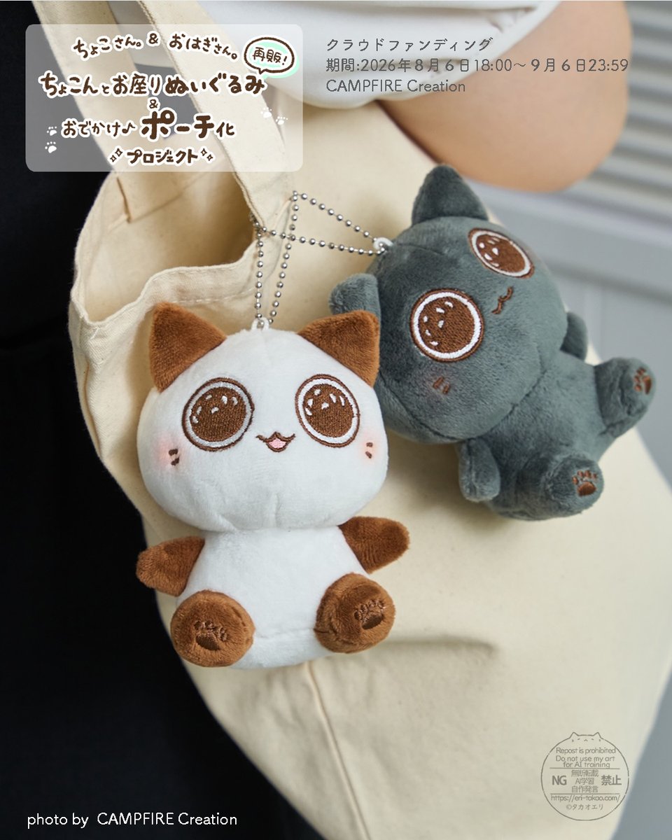 takaoeri_line's tweet photo. ＼宣伝／

ついにクラファン、9月6日（日）23:59までになりました！
既にたくさんのご支援本当にありがとうございます…！
今日を入れて残り3日です。

今回、CAMPFIRE　Creation様からプロのカメラマンさんに撮っていただいたぬいぐるみの写真をたくさんご提供いただいていたのに、なかなか投稿できてなかったのであと残り３日でご紹介したいです…！

 引き続きどうぞよろしくお願いいたします🐾

◆クラファン詳細ページ  
→ https://t.co/MmdHDw3wei

 ◆9/6(日）23:59終了