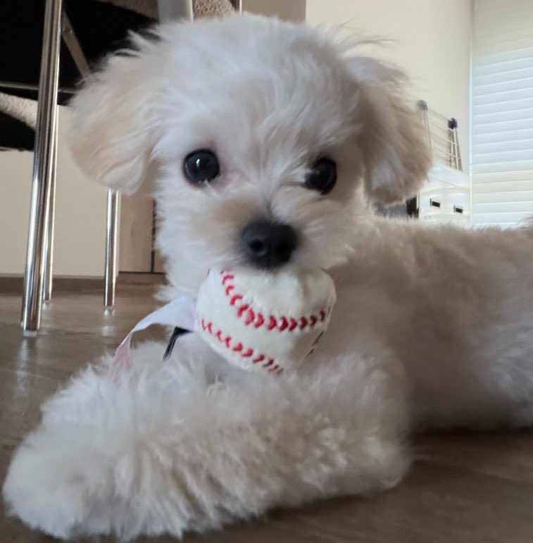 joyminjeong's tweet photo. like mother like daughter https://t.co/Xyx1m5uDzO