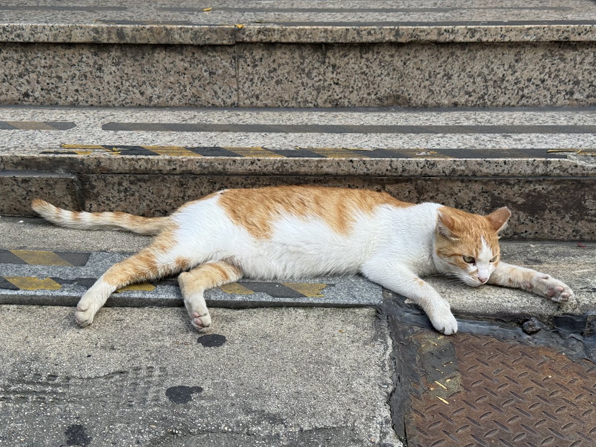 mugmyun's tweet photo. 선생님, 늘어져 계시는데 실례 좀 하겠습니다.. https://t.co/zMl5PykRCt