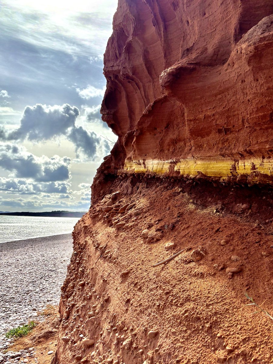 rsmithsoil's tweet photo. A recent revisit to this fossil soil or “paleosol”.  
The paleosol is the dark brown colour…a preserved soil.

The bright yellow colour above the paleosol is so unusual.  I’ve not seen this elsewhere.  I wonder if the sulphate-rich sea spray is part of the chemistry? https://t.co/3gOlIGQN2s