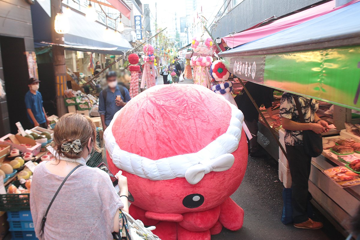 tacolog's tweet photo. ＼9/12(土)開催🐙／

熊本地震、および千葉豪雨で被災された方々への義援金活動を9/12(土)、『仙台朝市』にて開催🐙

日時：9/12(土)　9時-13時予定
場所：仙台朝市

<内容>
✅オクトパス君による義援金活動
✅募金箱設置
✅物販　※売り上げの一部を義援金に

#オクトパス君 #恩返し https://t.co/Hs9C5Ehhu8
