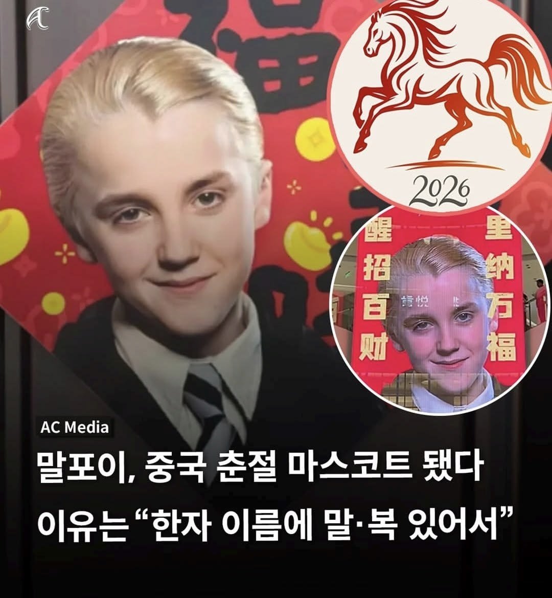 bighwanjang1's tweet photo. 말복이 https://t.co/AOS6QhrY3g