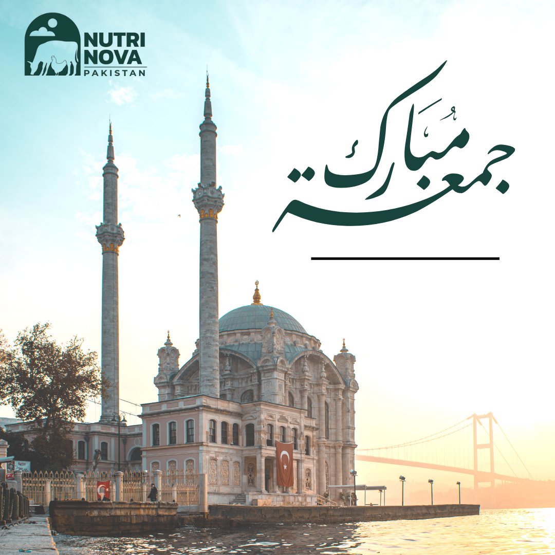 nutrinova555's tweet photo. 𝐉𝐮𝐦𝐦𝐚 𝐌𝐮𝐛𝐚𝐫𝐚𝐤 🌙✨
May Allah bless you with peace, happiness, and countless blessings. Ameen. 🤲

#JummaMubarak #BlessedFriday #AllahsBlessings https://t.co/7QzJxdg2cK