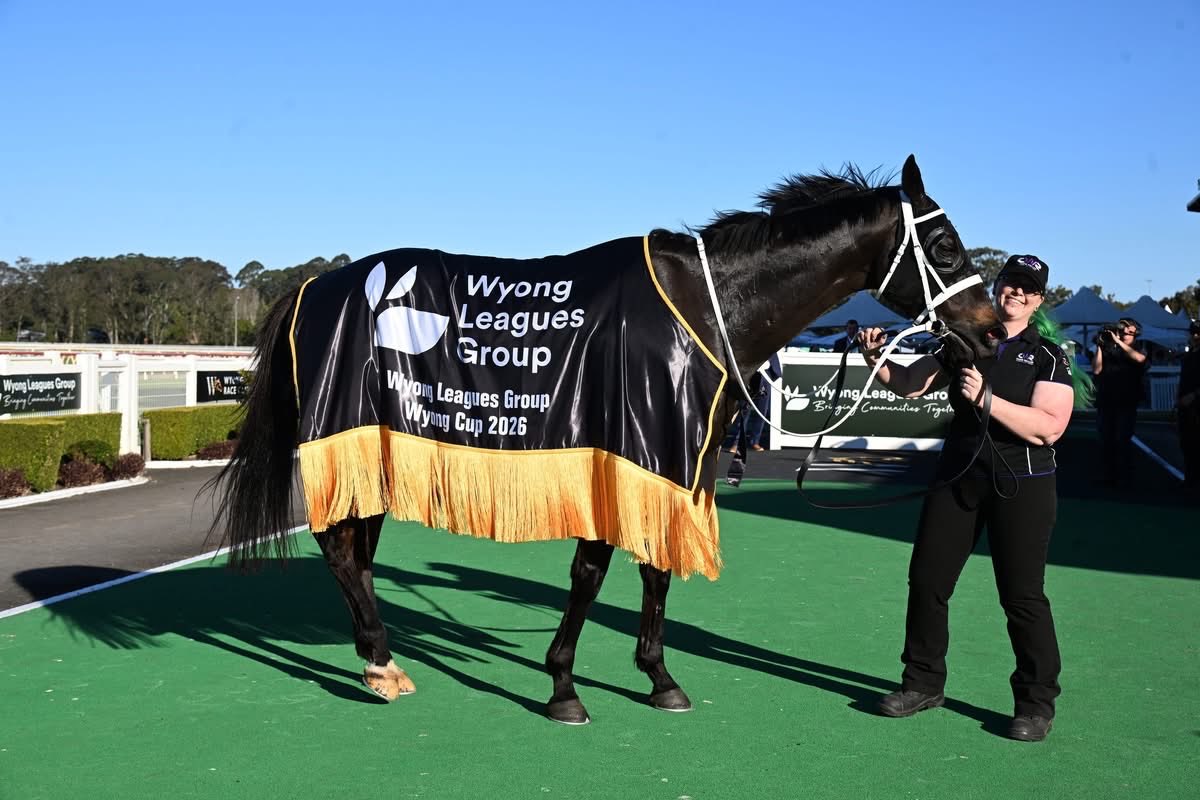 WyongRaceClub's tweet photo. Cup win no. 10 for @cwallerracing  taking out the 2026 $250K Listed Wyong Leagues Group Gold Cup with Matusalem💪🏆
The 6yo geld by The Autumn Sun brings up his 7th win from start 32 &amp; earns a ticket to the $3M Big Dance at Randwick on Nov 3. James McDonald the winning rider 👏 https://t.co/ql05sJGE5o