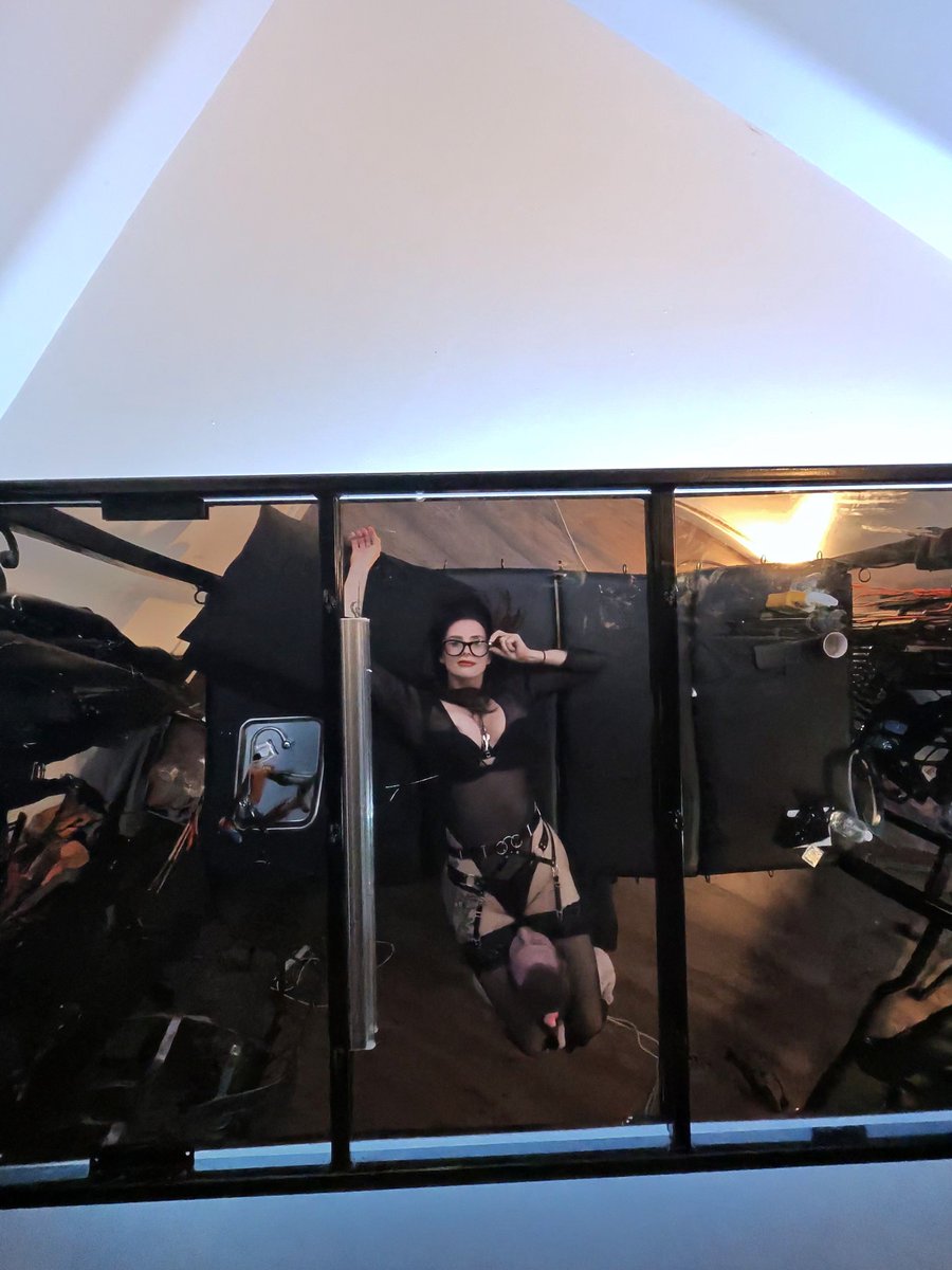 AlphasArcadia's tweet photo. Lounging around. https://t.co/aGFGJk0v1a