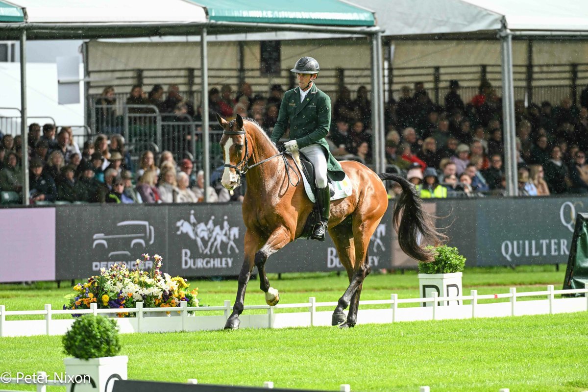 StudioBristle's tweet photo. Today is the start of the Defender Burghley Horse Trials, this British heritage event is the equestrian artists dream, with a variety of equestrian disciplines and atmosphere all set in at the beautiful Burghley Park. https://t.co/OXJvT9IZ79