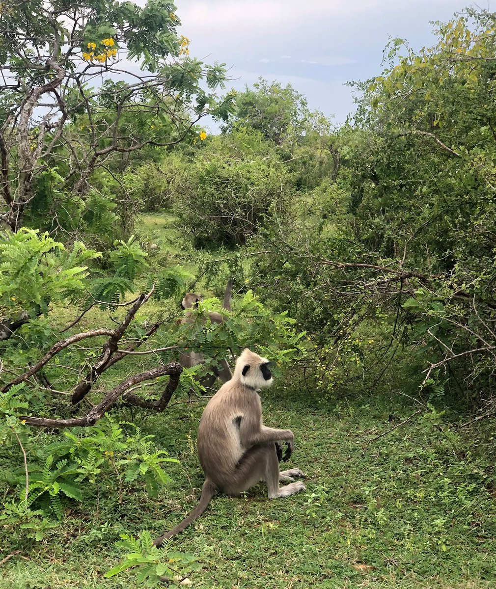 VivianMartdk's tweet photo. 俯瞰する視点を得ると、自分がどれほど小さなエラーの連続で動いているか思い知らされるよ。最適解なんて、結��は気のせいだね。 https://t.co/bfYlm6v6Nl