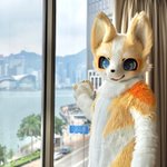 Photo by 雪梨 (@NoremFox)