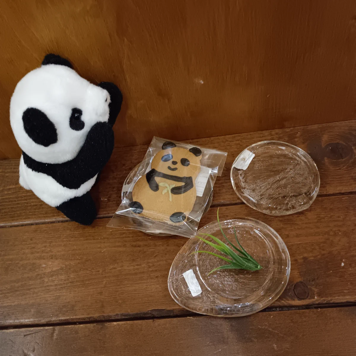 関西つうしん on X: 