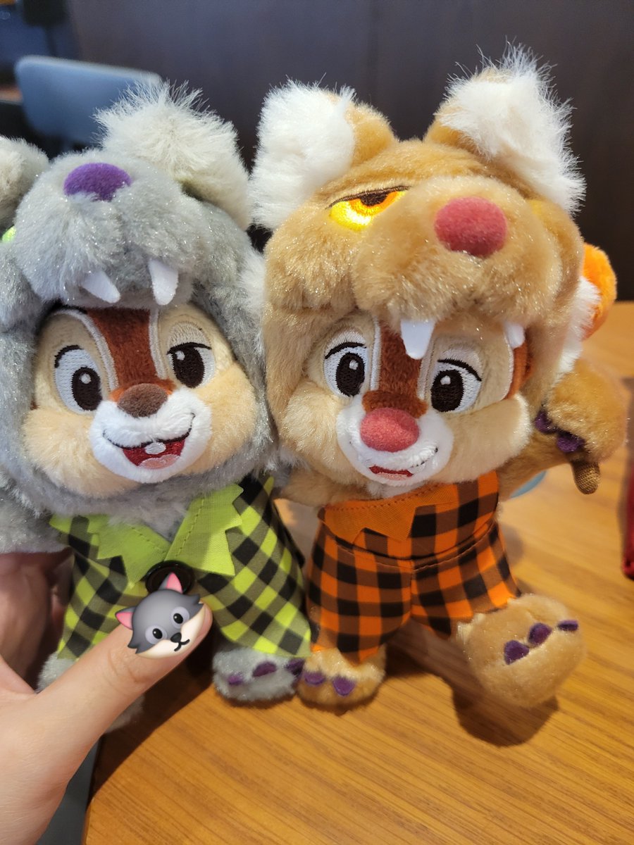 iwo_cd's tweet photo. 可愛い命得た https://t.co/xKh2yFxDOh