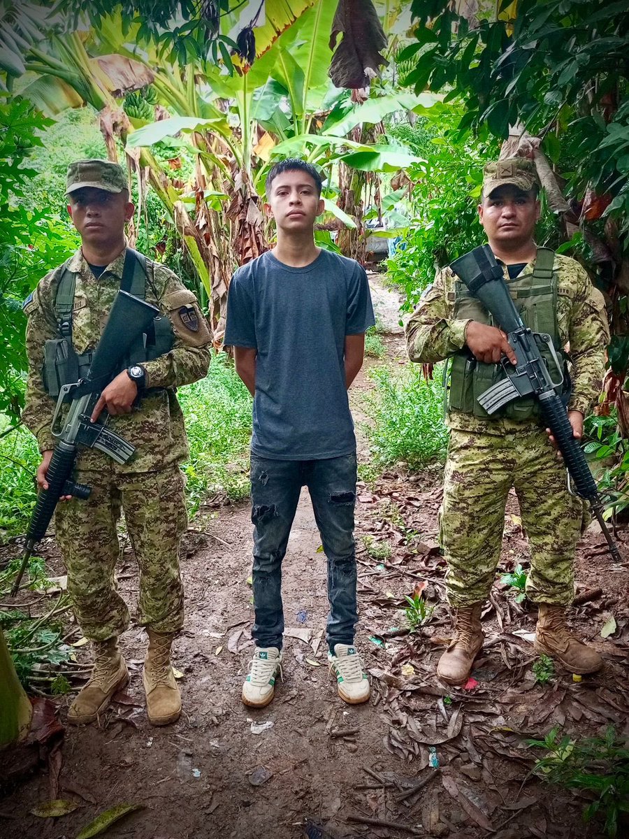 merino_monroy's tweet photo. A los jóvenes les decimos con claridad: pertenecer a una pandilla no es un camino inteligente, es una condena a pasar tras las rejas.

En el caserío Santa Cruz, cantón La Trinidad, Sensuntepeque, elementos de la @FUERZARMADASV ubicaron a un menor de 16 años, alias “Cuervo”. En su teléfono celular se encontraron imágenes y videos que lo vinculan a la MS-13.

#Seguimos firmes, actuando para impedir que las estructuras criminales vuelvan a sembrar terror en nuestras comunidades .

#GuerraContraPandillas 🇸🇻