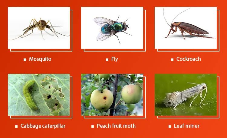 LaikeCo's tweet photo. Cypermethrin 🌱 Fast-acting, broad-spectrum insecticide for effective pest control. Available in 94% TC, 5%, 10% & 25% EC formulations. OEM solutions available.
#Cypermethrin #Insecticide #CropProtection #Agrochemicals #PestControl https://t.co/cR1gGUfmEv