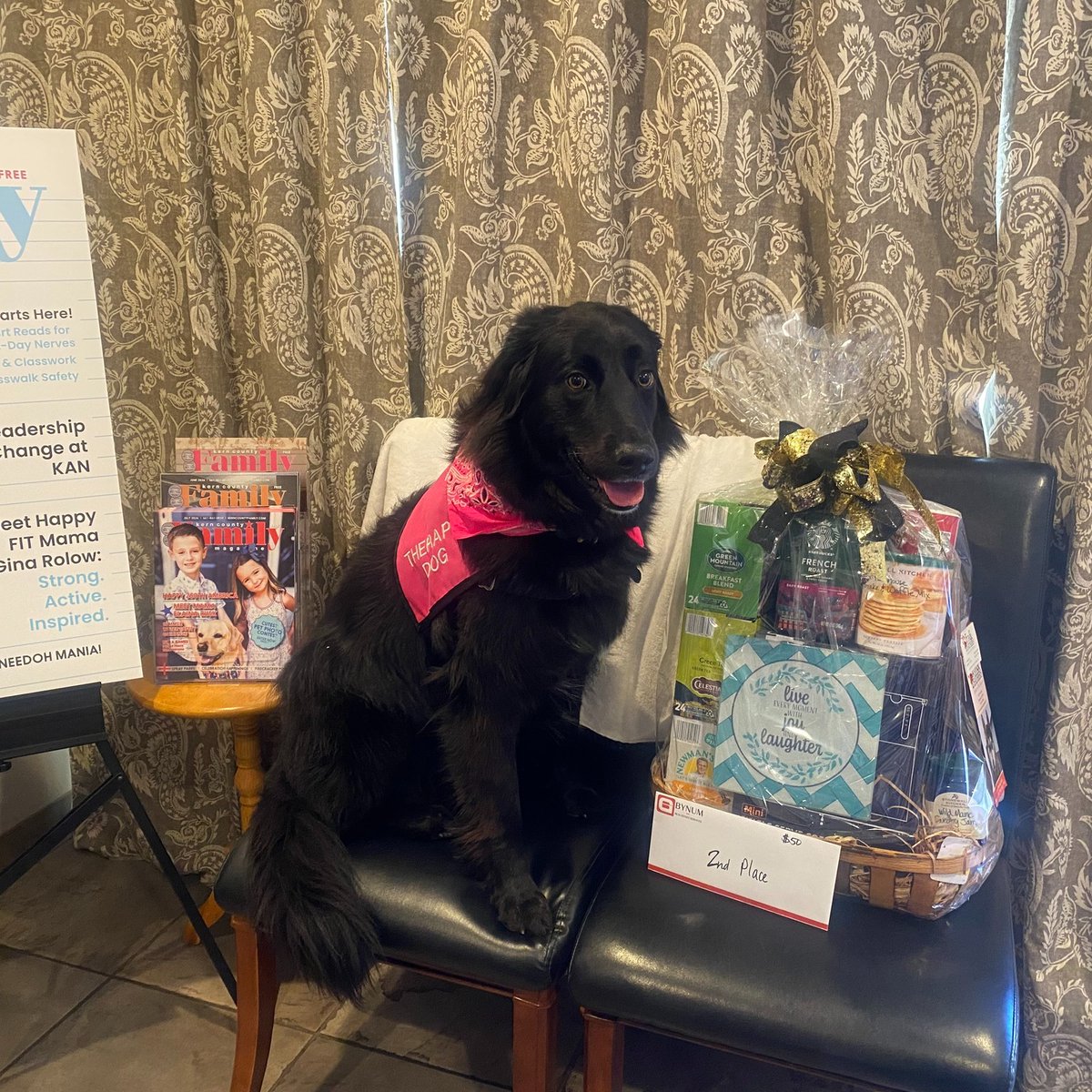 AlbertoClinto's tweet photo. Say hello to our 2nd place winner, Nicky! This beautiful girl charmed everyone in our annual Cutest Pet Photo Contest. Thank you to everyone who entered, voted, and supported our sponsors. https://t.co/IKl9aoM9wo