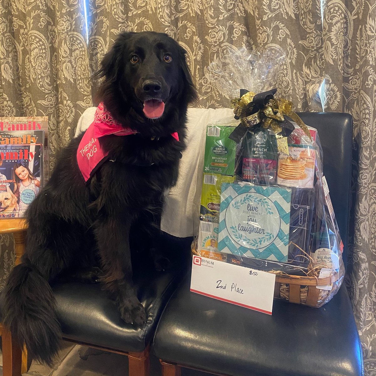 AlbertoClinto's tweet photo. Say hello to our 2nd place winner, Nicky! This beautiful girl charmed everyone in our annual Cutest Pet Photo Contest. Thank you to everyone who entered, voted, and supported our sponsors. https://t.co/IKl9aoM9wo