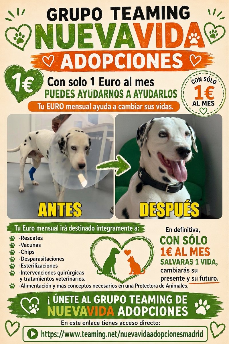NuevaVidaAdop's tweet photo. https://t.co/EmFoc4X3LJ