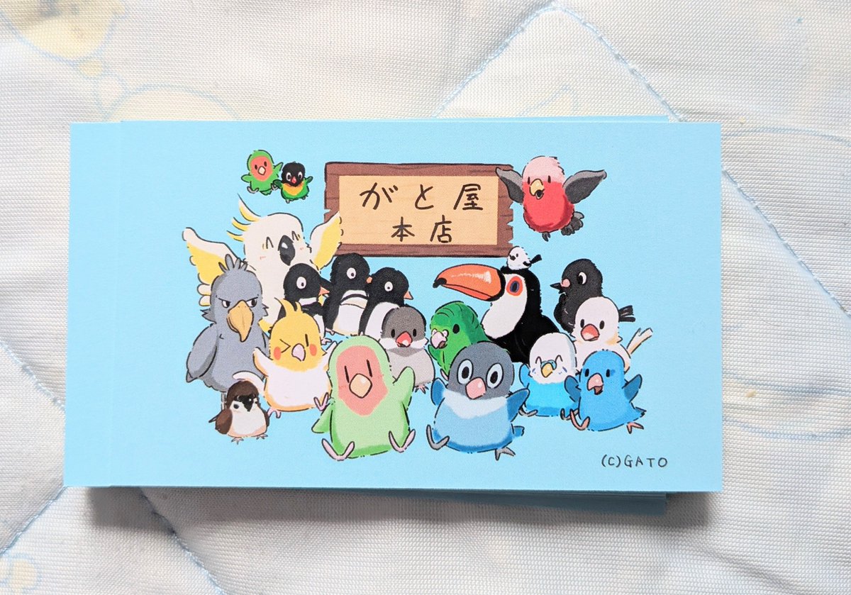 gato_torisan's tweet photo. じゃん!私の鳥好きを込めた新しい名刺ができました！次のイベントから持っていきます✨️ぜひ受け取ってもらえると嬉しいです✨️✨️ https://t.co/n12nQ1bM8Z