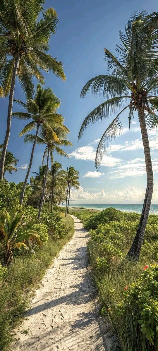 HelenOkoye11's tweet photo. Good morning, beautiful people! ☀️❤️ Happy Friday! May today be kind to us and bring us good news, favor, and unexpected blessings. 🙏🏽✨ https://t.co/UxMO3xyaZW